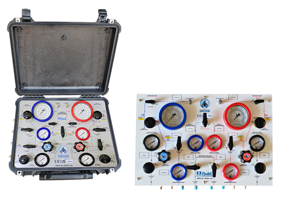 2 Diver HSE Panel (Portable/Frame Mounted), Non-Imca